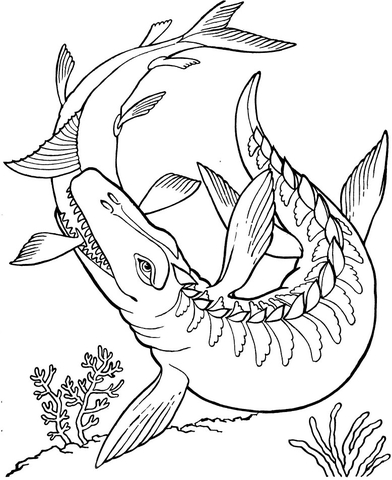 Mosasaurus Dinosaur  Coloring Page